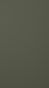 Maalattu ovi, Style, TM40, Moss