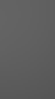 Maalattu ovi, Style, TM40, Graphite Grey