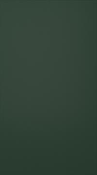 Erikoisviiluovi, Classic, TP47P, Conifer